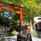 Shichimi